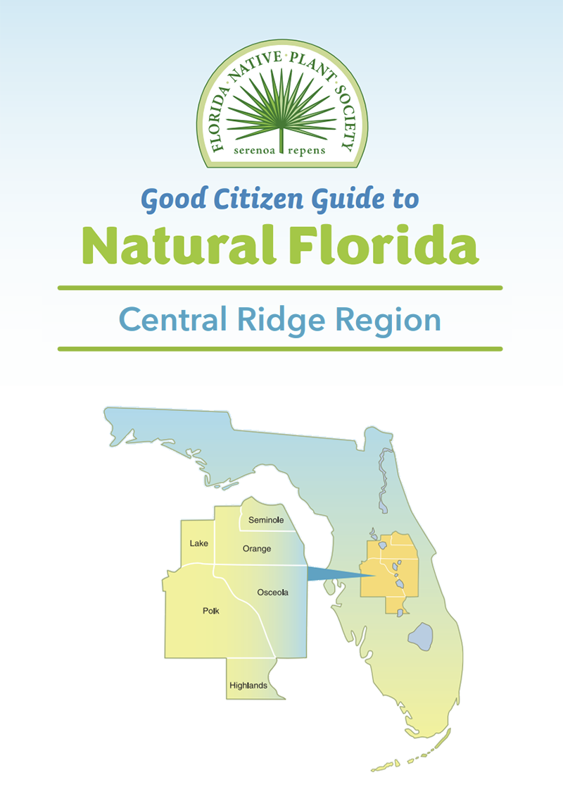 G-Central Ridge